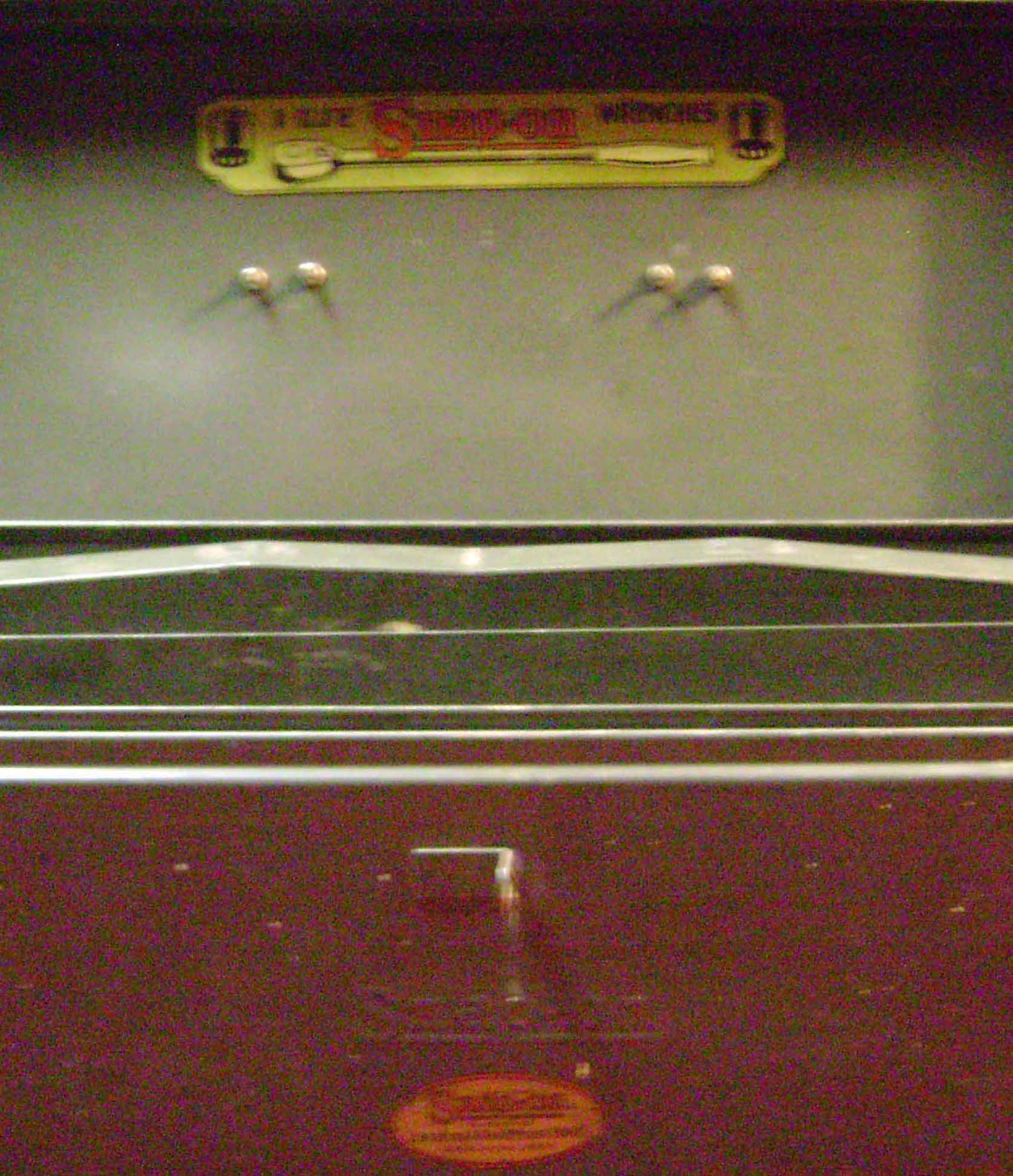 DSC00346-copy.JPG